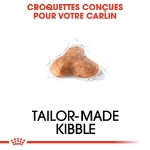 Image de BHN Pug Adult 1,5kg