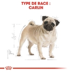 Image de BHN Pug Adult 1,5kg