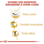 Image de BHN Pug Adult 1,5kg