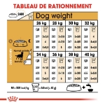 Image de BHN Labrador Sterilis. Ad 3kg