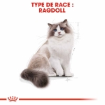 Image de FBN Ragdoll 2kg
