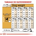 Image de BHN Labrador Retriever Ad 3kg
