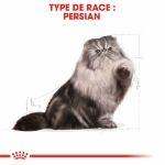 Image de FBN Persian 4kg