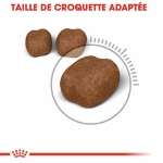 Image de FCN Dental Care 1,5kg
