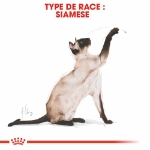 Image de FBN Siamese 4kg