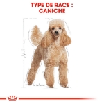 Image de BHN Poodle Adult 1,5kg