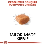Image de BHN Poodle Adult 1,5kg