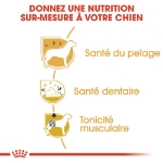 Image de BHN Poodle Adult 1,5kg