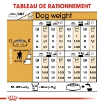 Image de BHN Poodle Adult 1,5kg