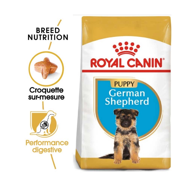 Image de BHN German Sheph. Puppy 12kg