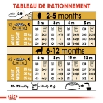Image de BHN Golden Retr. Puppy 12kg