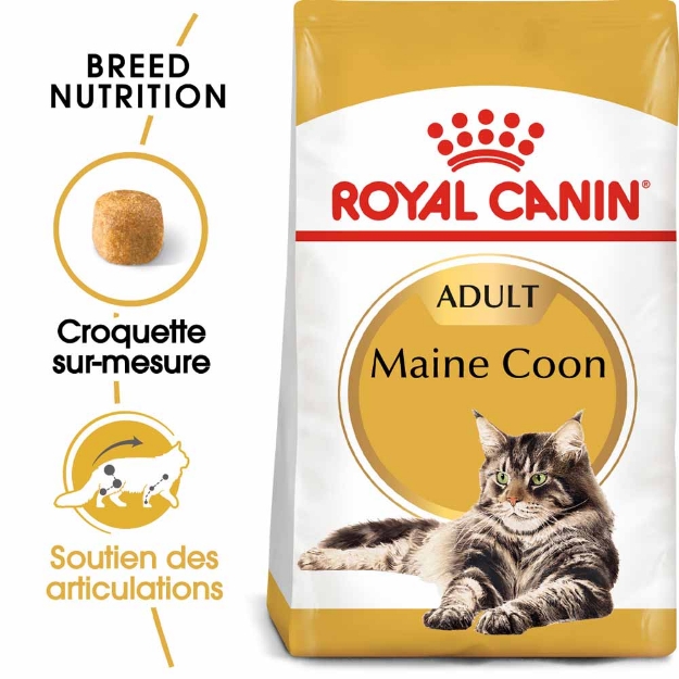 Image de FBN Maine Coon 4kg