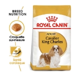 Image de BHN Cavalier KC Adult 1,5kg