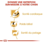 Image de BHN Cavalier KC Adult 1,5kg