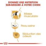 Image de BHN French Bulldog Adult 3kg