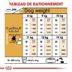 Image de BHN French Bulldog Adult 3kg