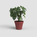 Image de POT CAPRI 50CM ROUGE FONCÉ
