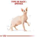 Image de FBN Sphynx 2kg