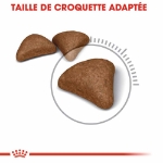 Image de FCN Hairball Care 2kg
