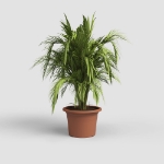 Image de POT VENEZIA CILINDRO 20CM terre