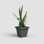Image de POT VENEZIA CARRÉ 40CM ANTHRACITE