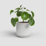 Image de CACHE-POT LUNA 15CM BLANC