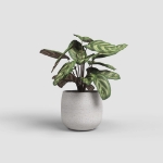 Image de CACHE-POT HEMERA 25CM CRÈME