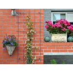 Image de TREILLI MET RECT GALVA H150 X 75CM
