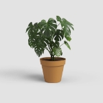 Image de POT CAPRI 30CM JAUNE MIEL