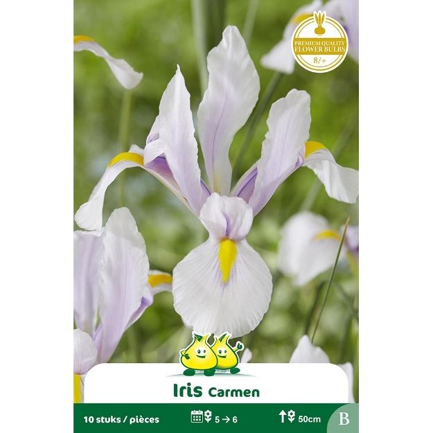 Image de Paquet IRIS  CARMEN B cal :8/+