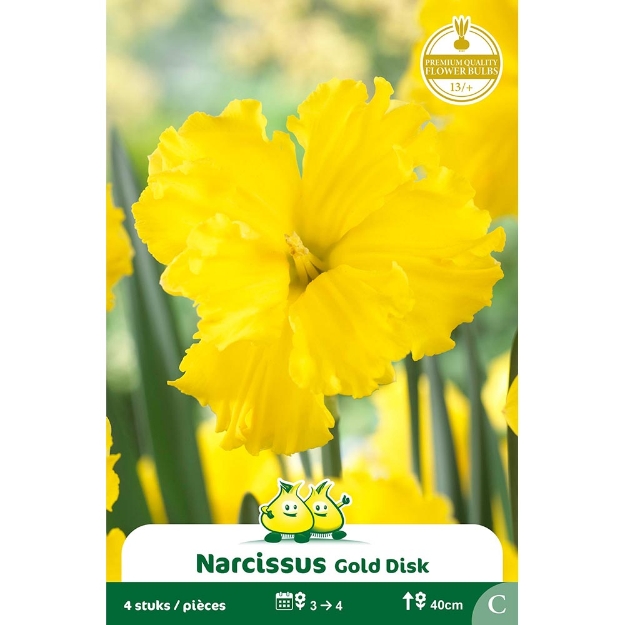 Image de Paquet SPLITNARCIS  GOLD DISK cal :13/+