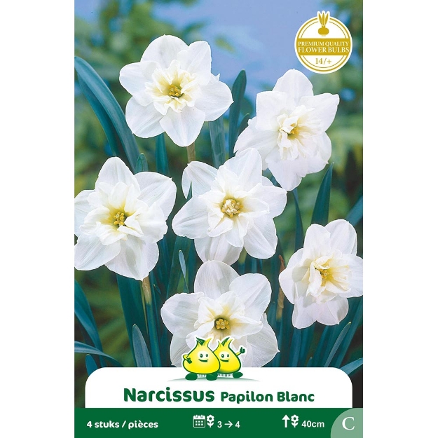 Image de Paquet SPLITNARCIS  PAPILON BLANC C cal :14/+