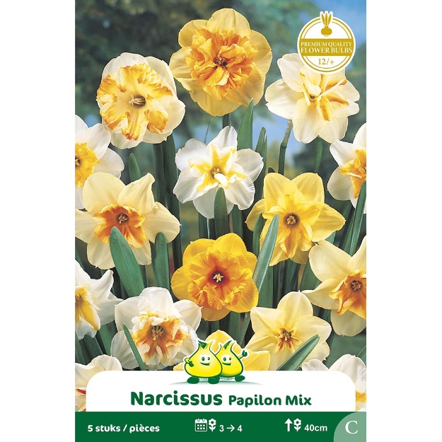 Image de Paquet SPLITNARCIS  PAPILON MIX C cal :12/+