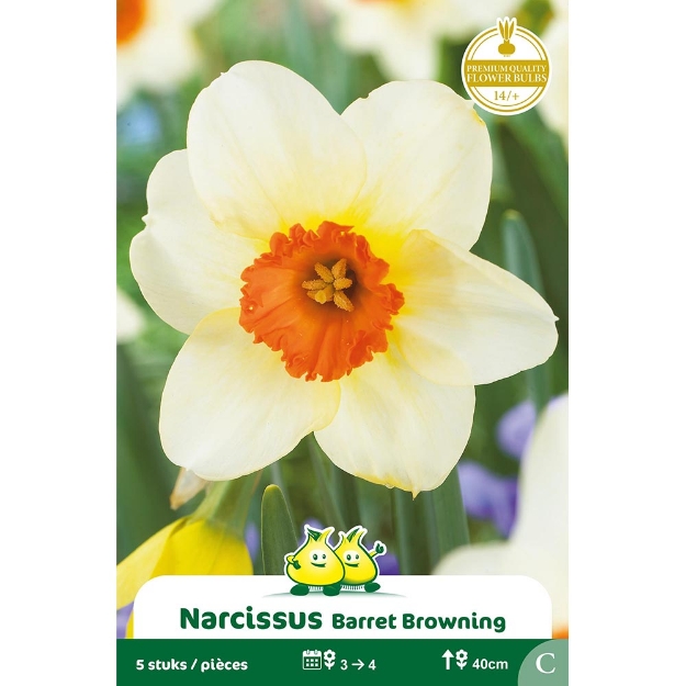 Image de Paquet NARCIS  BARRET BROWNING C cal :14/+