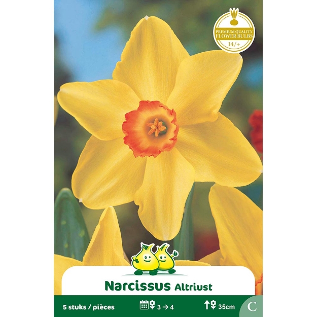 Image de Paquet NARCIS   ALTRUIST - BIRMA C cal :14/+