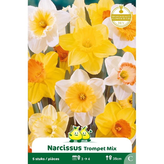 Image de Paquet NARCIS   GEMENGD C cal :14/+