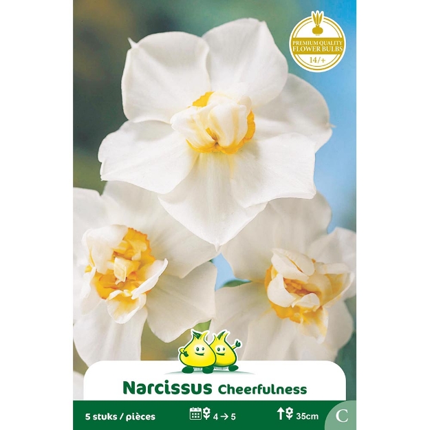 Image de Paquet NARCIS  BOUQUET  CHEERFULNESS C cal :14/+