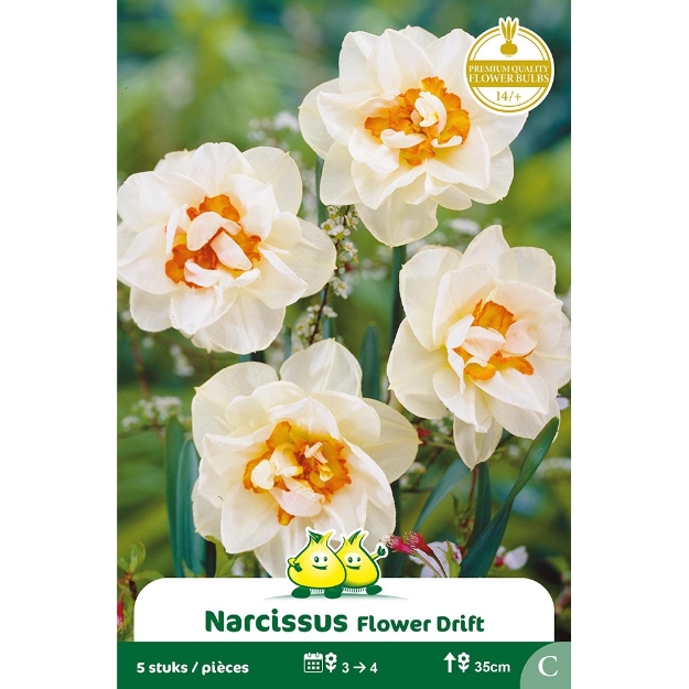 Image de Paquet NARCIS   FLOWER DRIFT C cal :14/+
