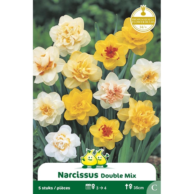 Image de Paquet NARCIS  DOUBLE  MIX C cal :14/+