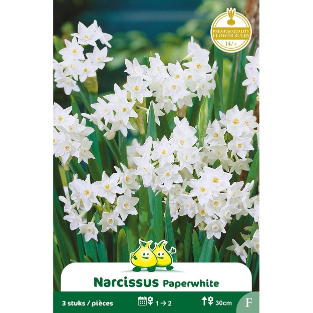 Image de Paquet NARCIS PAPERWHITE  cal :14/+