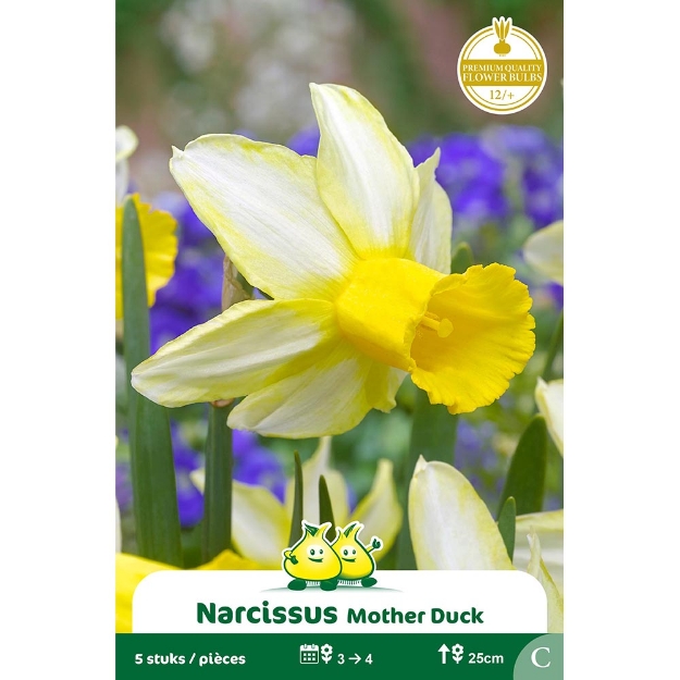 Image de Paquet BOT. NARCIS  MOTHER DUCK cal :12/+