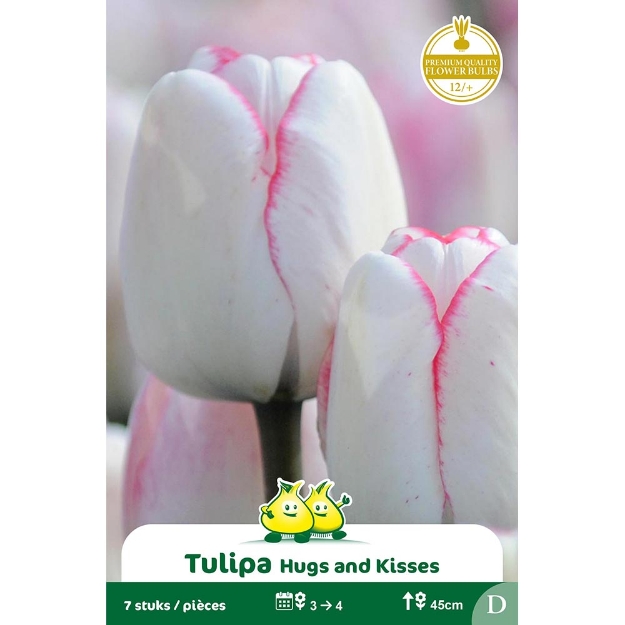 Image de Paquet TRUIMPH HUGS AND KISSES  D cal :12/+