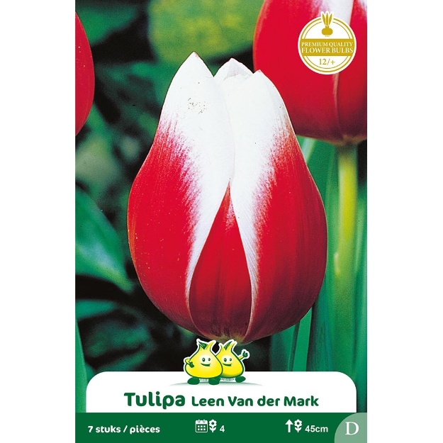 Image de Paquet TRUIMPH LEEN V D MARK D cal :12/+
