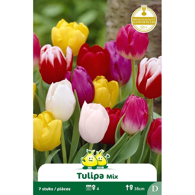 Image de Paquet TRUIMPH GEMENGD  D cal :12/+