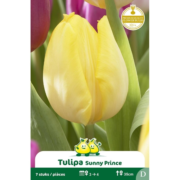Image de Paquet HATIVE SUNNY PRINCE  D cal :12/+