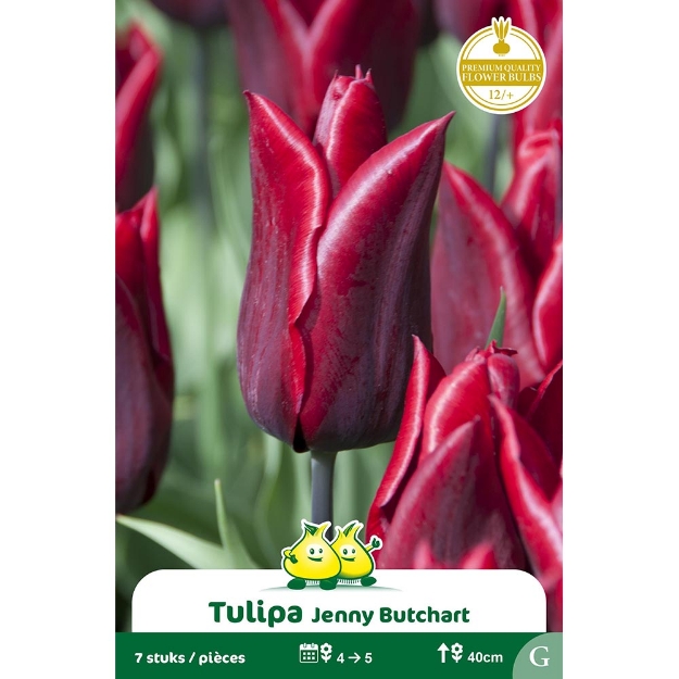 Image de Paquet FLEUR DE LIS JENNY BUTCHART G cal :12/+