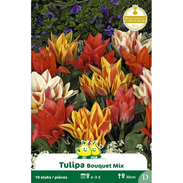 Image de Paquet TULIPES BOUQUET MIX  cal :12/+