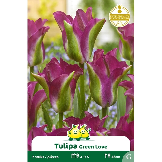 Image de Paquet VIRIDIFLORA GREEN LOVE G cal :12/+