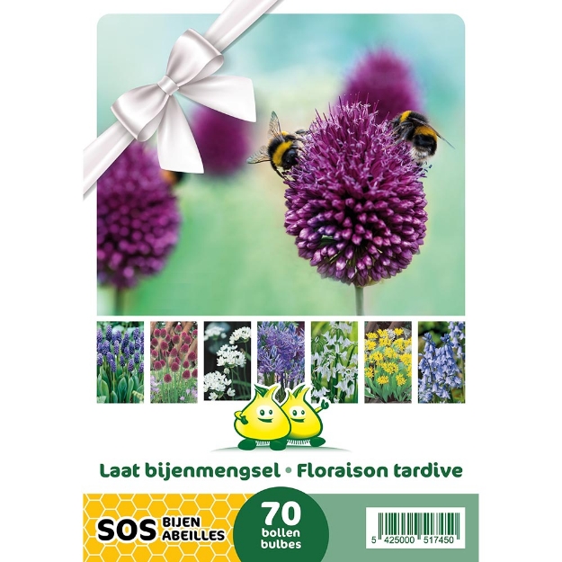 Image de Paquet SOS TARDIVE 70P (olive) cal :I