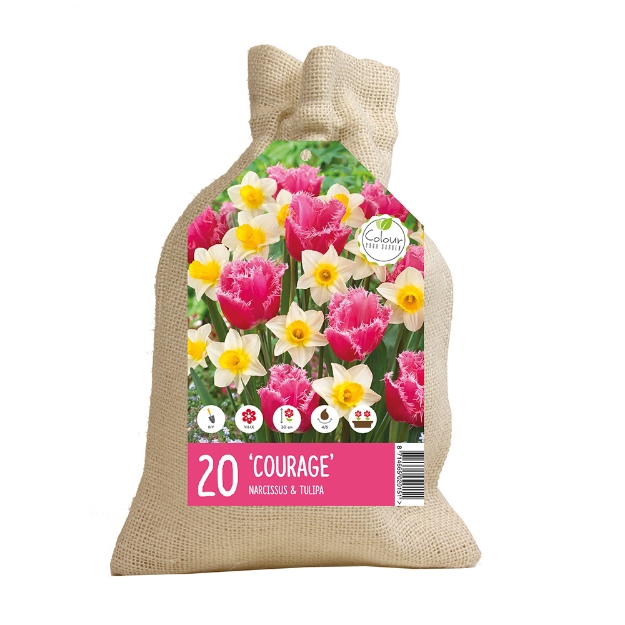 Image de JUTE COURAGE cal :I
